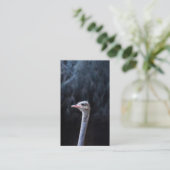 Carte De Réduction portrait d'autruche (Debout devant)