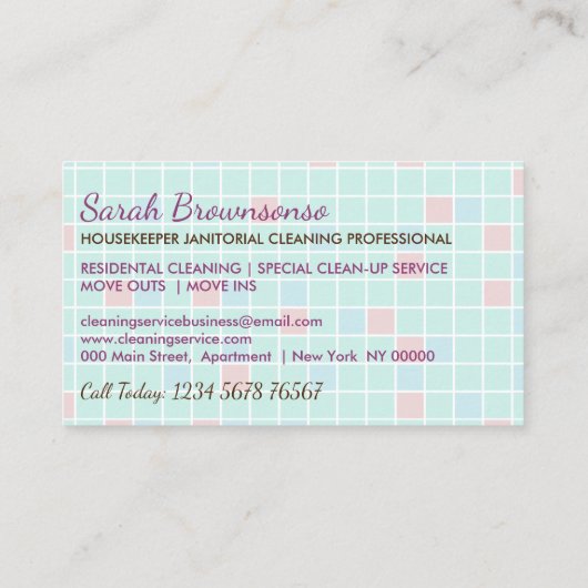 Carte De Réduction Service de nettoyage Janitorial Lady Vente Cadeaux (Dos)