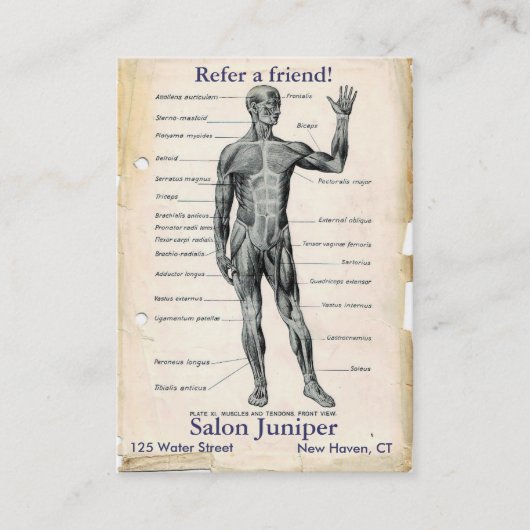 Carte De Référencement Anatomie dessin Vintage antérieur (Devant)