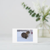 Carte De Référencement chat des forêts norvégiennes dans la neige (Debout devant)