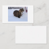 Carte De Référencement chat des forêts norvégiennes dans la neige (Devant / Derrière)