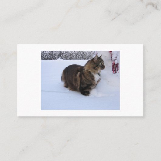 Carte De Référencement chat des forêts norvégiennes dans la neige (Devant)