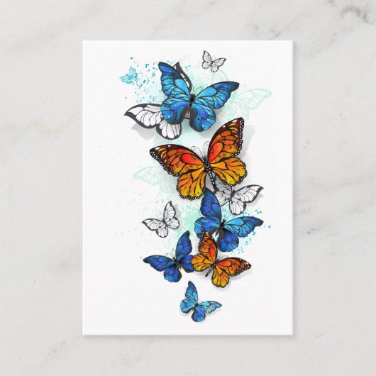 Carte De Référencement Papillons volants Morpho et Monarch (Devant)