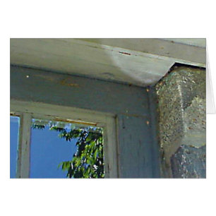 Carte de réflexion de fenêtre