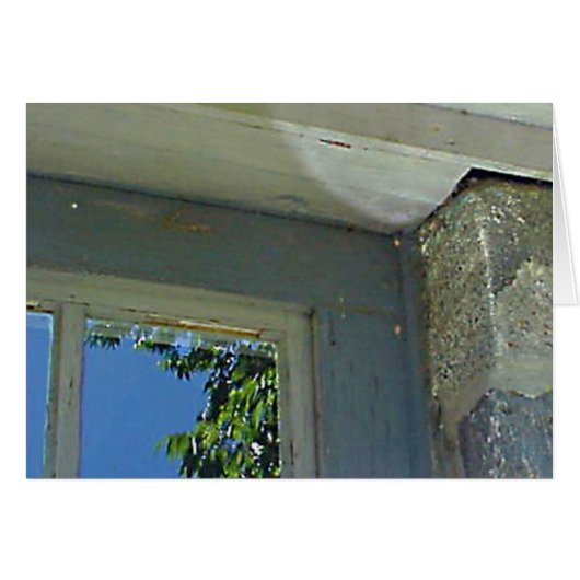 Carte de réflexion de fenêtre (Devant horizontal)