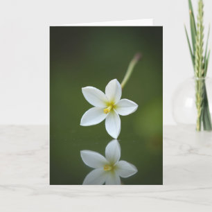 Carte de réflexion Émergence en fleurs