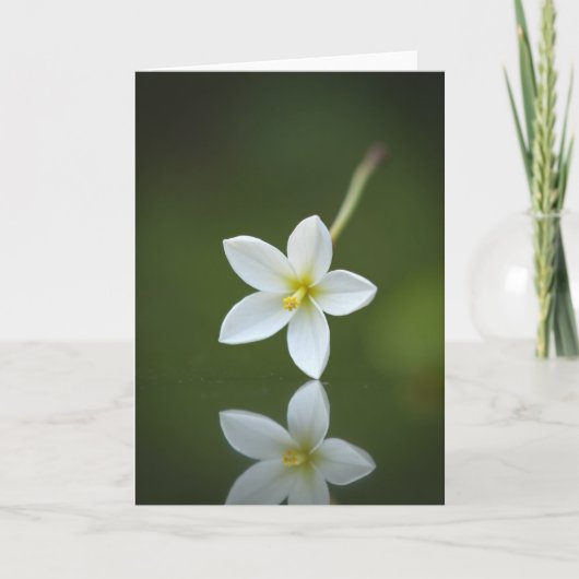 Carte de réflexion Émergence en fleurs (Devant)