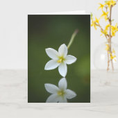 Carte de réflexion Émergence en fleurs (Fleur jaune)