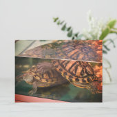 Carte de réflexion Tortue Terreuse Chaude (Debout devant)
