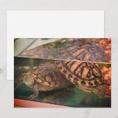 Carte de réflexion Tortue Terreuse Chaude (Devant / Derrière)