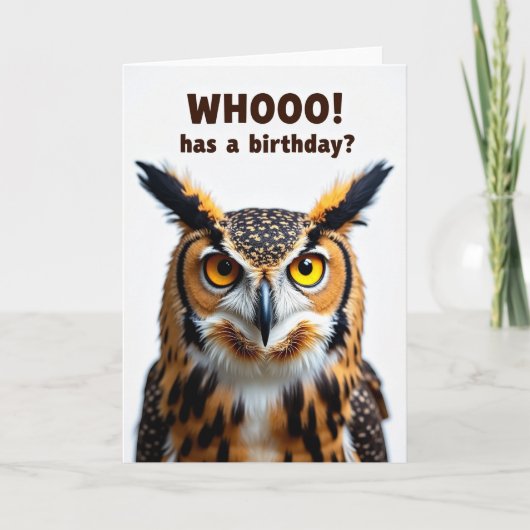 Carte de Regard de Hibou à Points (Devant)
