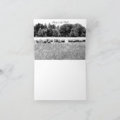 CARTE DE REMARQUE ANIMALE SHEEP FIELD (Intérieur)