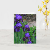 CARTE DE REMARQUE, "DEEP-PURPLE IRISES" /PHOTOG. (Fleur jaune)