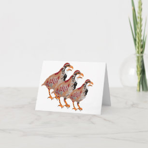 Carte de remarque : Partridge