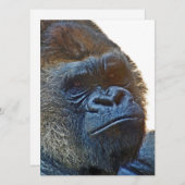 Carte de remerciement avec Gorille (Devant / Derrière)