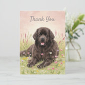 Carte de remerciement avec un chien de Terre-Neuve (Debout devant)