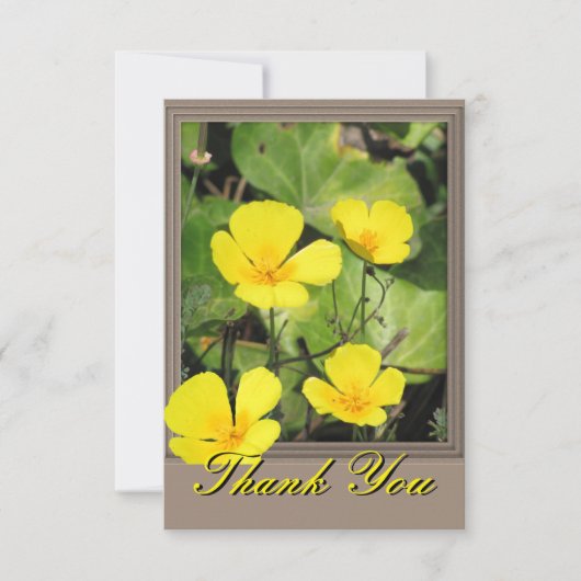 Carte de remerciement California Poppy (Devant)