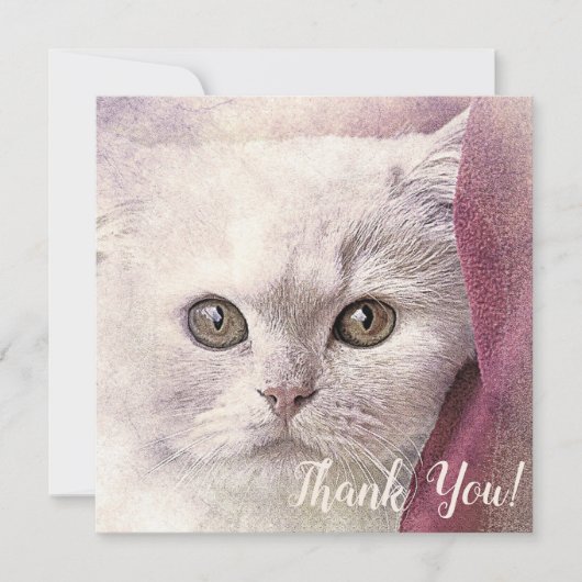 Carte de remerciement chat (Devant)