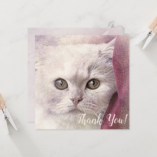 Carte de remerciement de chat (Devant/Arrière en situation)