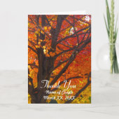 Carte de remerciement de mariage Feuilles d'automn (Devant)