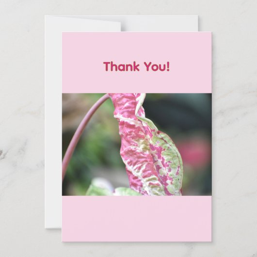 Carte de remerciement florale (Recto)