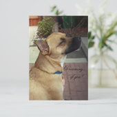 Carte de remerciement plate 3,5" x 5" Chiens de sa (Debout devant)