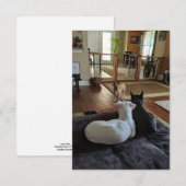 Carte de remerciement plate 3,5" x 5" pour chiens  (Devant / Derrière)