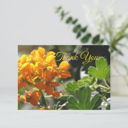 Carte de remerciement Wild Flower Flat (Debout devant)