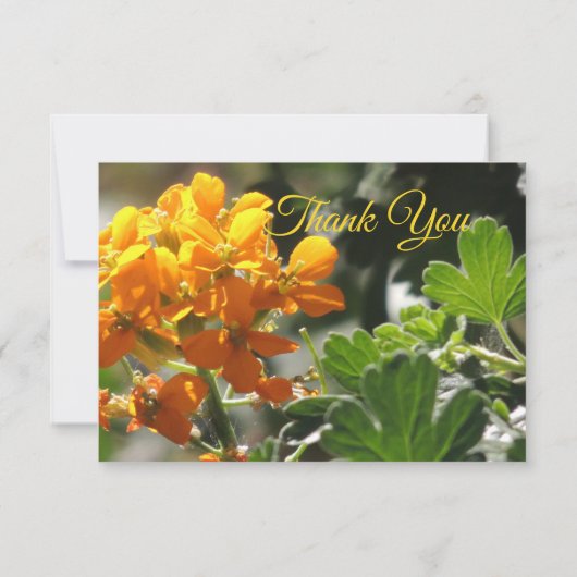 Carte de remerciement Wild Flower Flat (Dos)