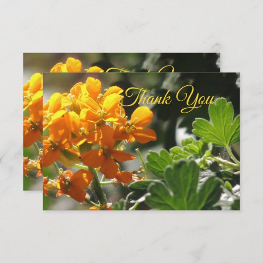 Carte de remerciement Wild Flower Flat (Devant / Derrière)