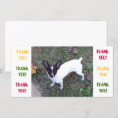 Carte de remerciements (Devant / Derrière)