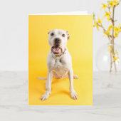 Carte de remerciements (Fleur jaune)