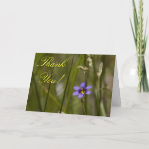 Carte de remerciements 6 de fleur sauvage