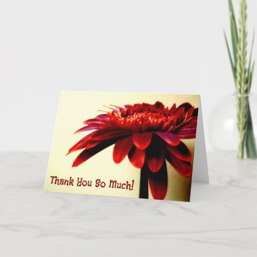 Carte de remerciements à fleurs de Gerbera rouge (Devant)