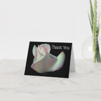 Carte de remerciements à fleurs de rose blanche