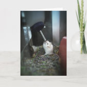 carte de remerciements "à lecture RAT" (Devant)