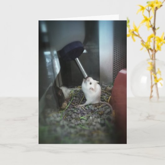 carte de remerciements "à lecture RAT" (Fleur jaune)