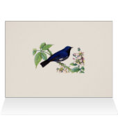 Carte de remerciements à ornithologie noire (Intérieur Horizontal (Haut))