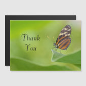 Carte de remerciements à papillon long tigre (Devant / Derrière)