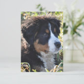 Carte de remerciements à thème de chien - Carte de (Debout devant)