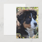 Carte de remerciements à thème de chien - Carte de (Devant / Derrière)