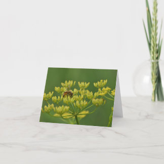 Carte De Remerciements Abeille sur parsnip sauvage vierge à l'intérieur d
