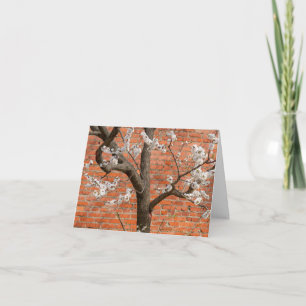Carte De Remerciements Abricotier en fleurs mur de briques rouges Printem