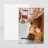 Carte De Remerciements Accueil Amélioration carnet de costume Funny Chien (Devant / Derrière)