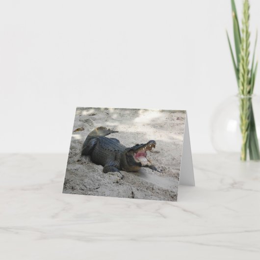 Carte De Remerciements Alligator, Fort Lauderdale, Floride (Devant)