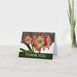 Carte De Remerciements Amaryllis en Fête Rouge Neige Hiver Floral