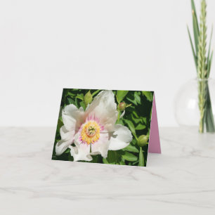 Carte De Remerciements Amour de pivoine
