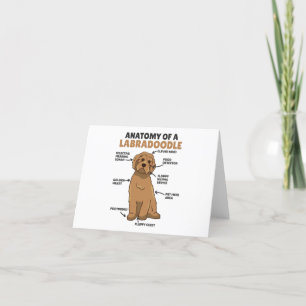 Carte De Remerciements Anatomie D'Un Labradoodle Cute Canine Chiot