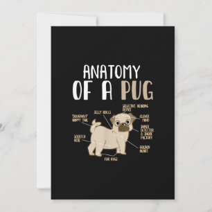 Carte De Remerciements Anatomie D'Une race Carlin Chien Animaux De Compag