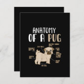 Carte De Remerciements Anatomie D'Une race Carlin Chien Animaux De Compag (Devant / Derrière)